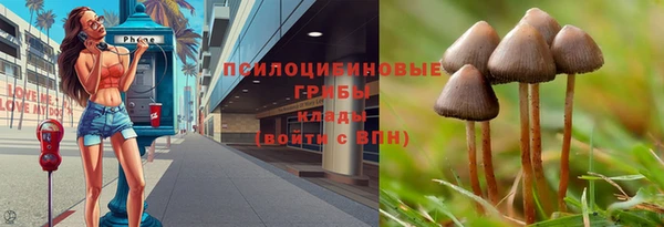 кокс Абинск
