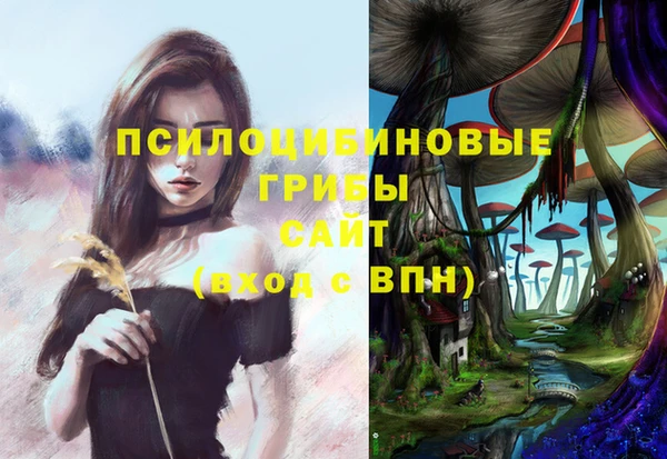 кокс Абинск