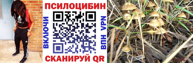 Галлюциногенные грибы Magic Shrooms  даркнет сайт  Серафимович 